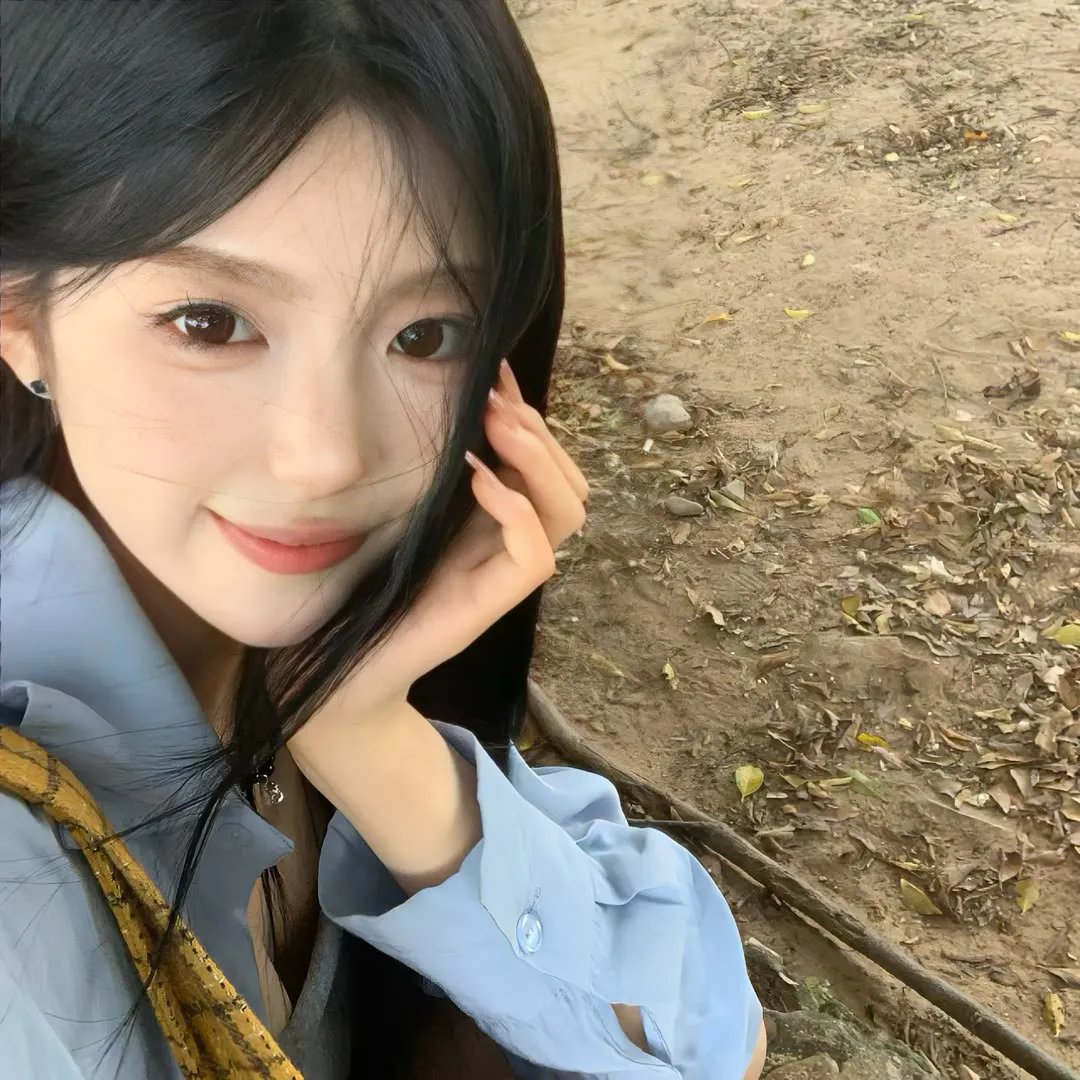 在世界边缘遇见熊 在线观看剧照